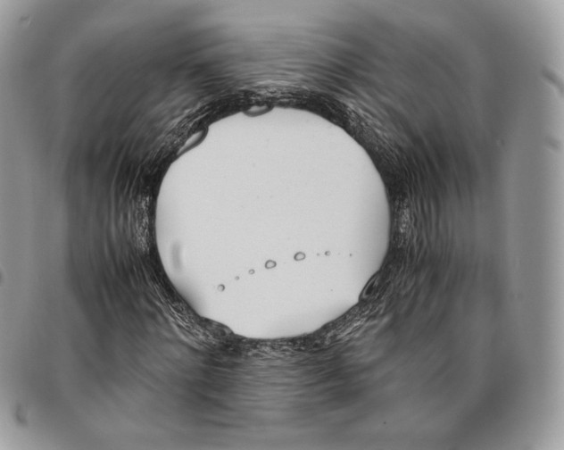X0000095890868200802081115