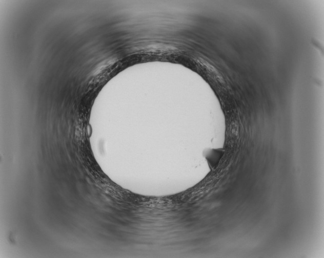 X0000095890869200802081115