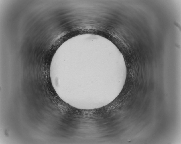 X0000095890870200802081115