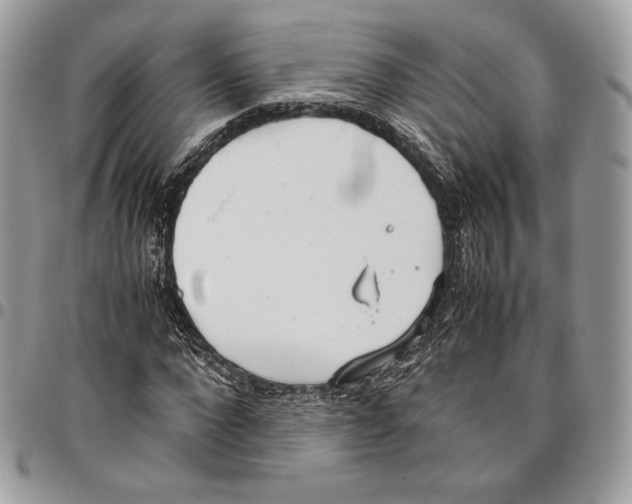 X0000095890872200802081115