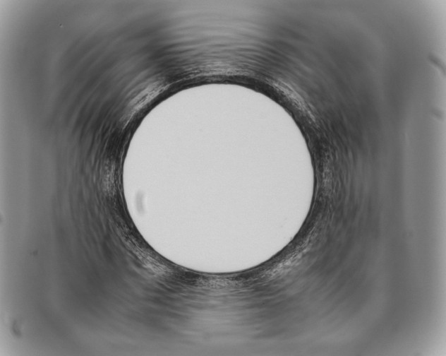 X0000095890873200802081115