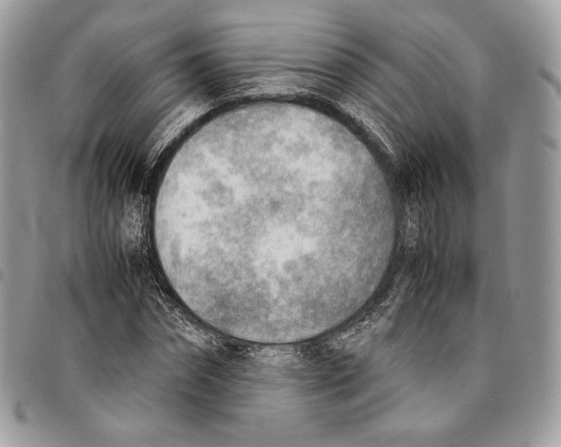 X0000095890874200802081115