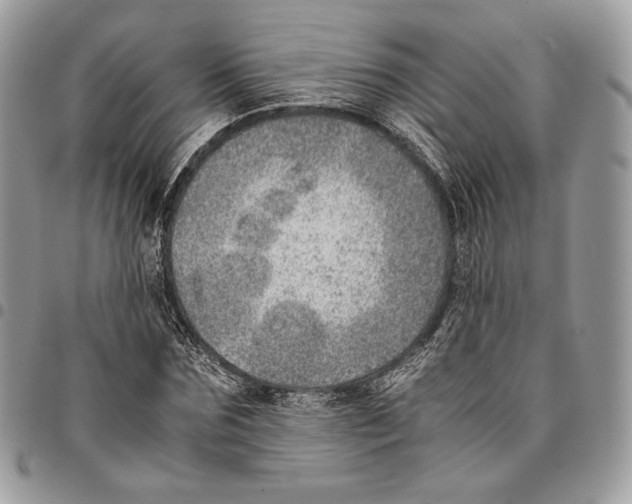 X0000095890875200802081115