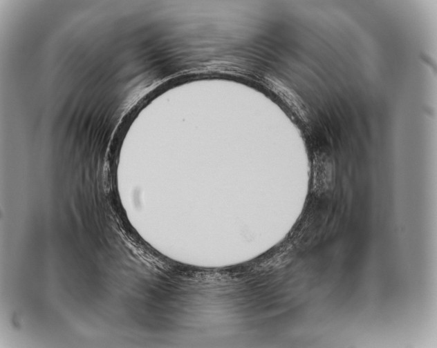 X0000095890876200802081115