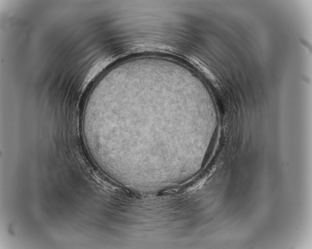 X0000095890877200802081115