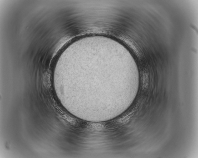 X0000095890878200802081115