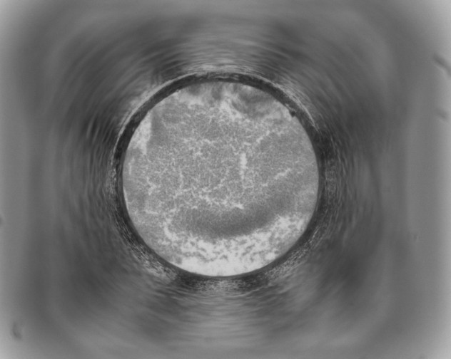X0000095890879200802081115