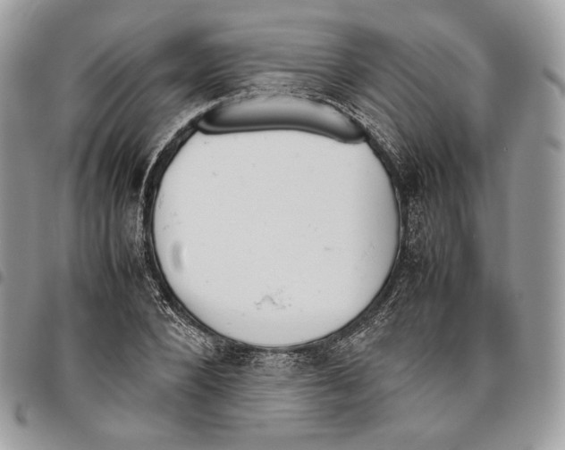 X0000095890880200802081115