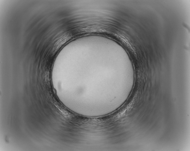 X0000095890881200802081115