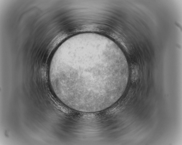 X0000095890882200802081115