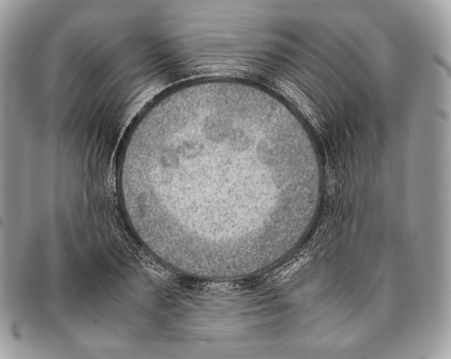 X0000095890883200802081115