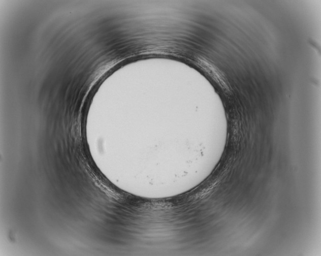 X0000095890884200802081115