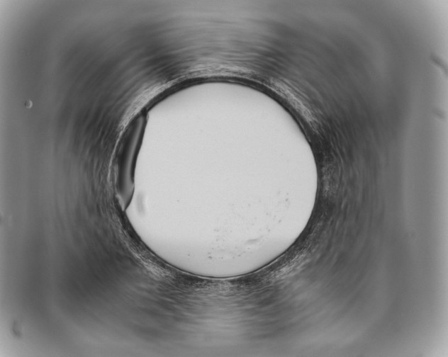 X0000095890885200802081115