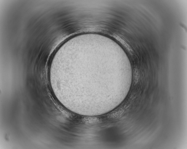 X0000095890886200802081115