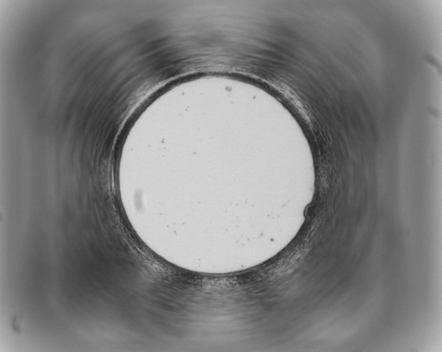 X0000095890887200802081115