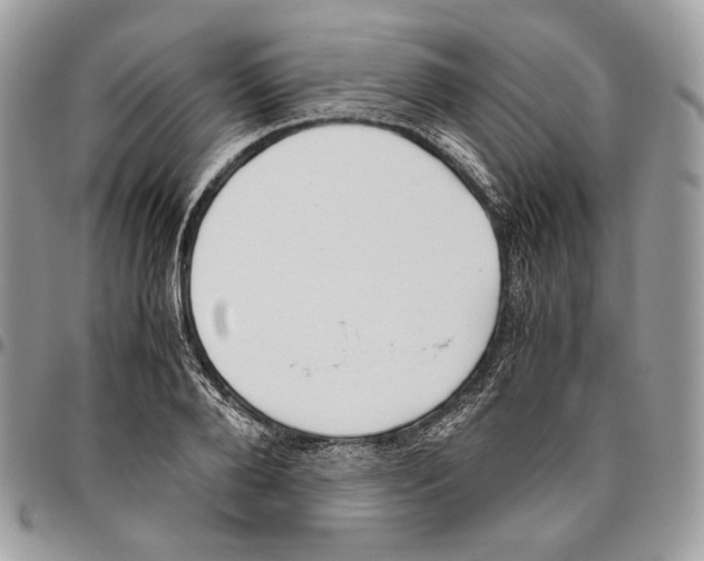 X0000095890888200802081115