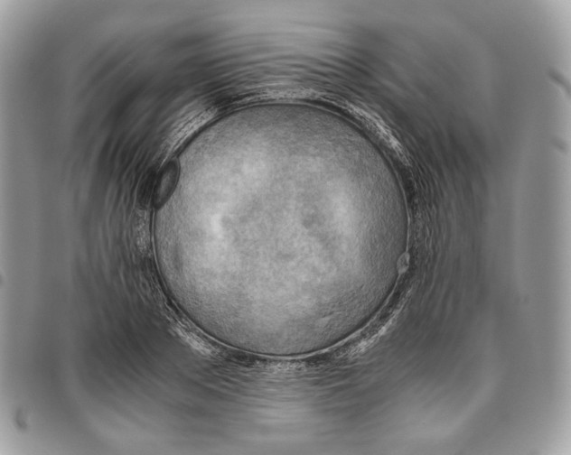 X0000095890889200802081115