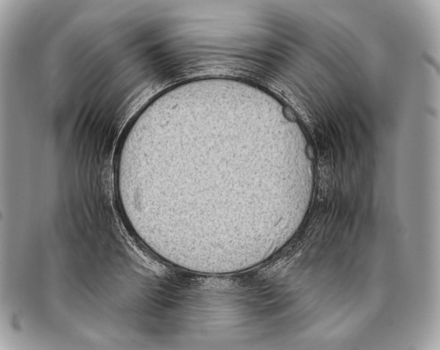X0000095890890200802081115