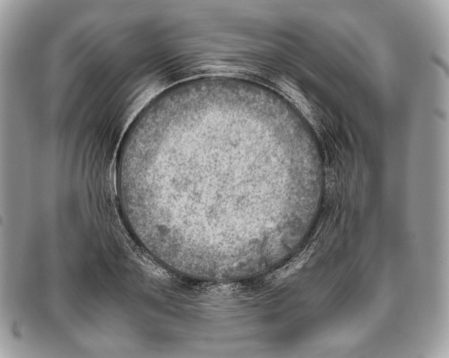 X0000095890891200802081115