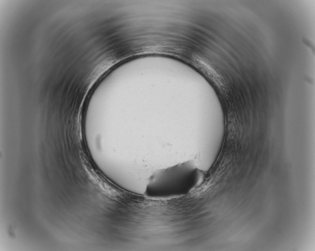 X0000095890892200802081115