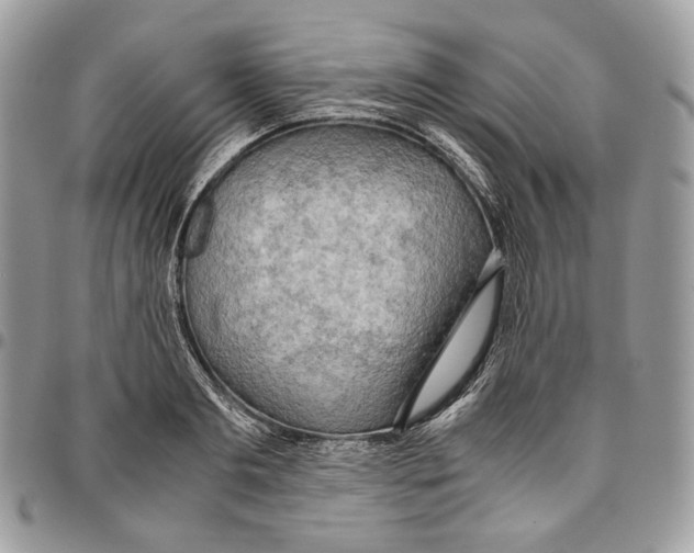 X0000095890893200802081115