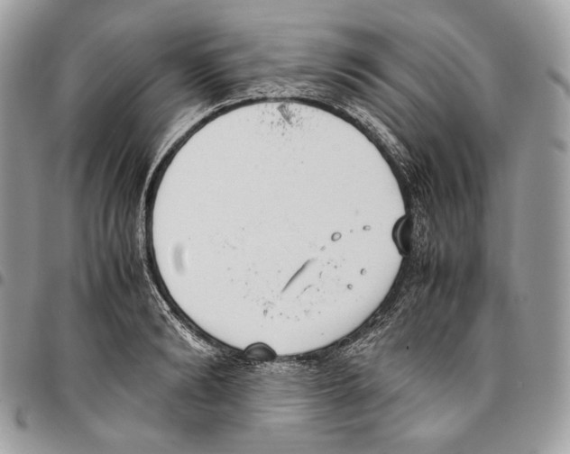 X0000095890894200802081115