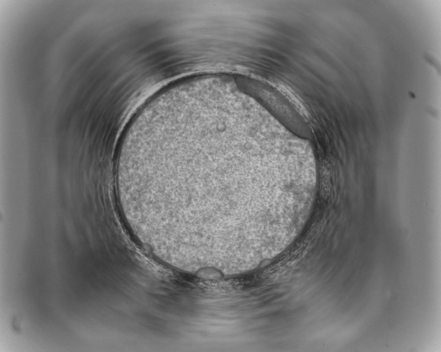 X0000095890895200802081115