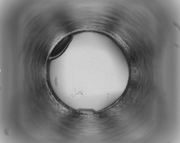 X0000095890896200802081115