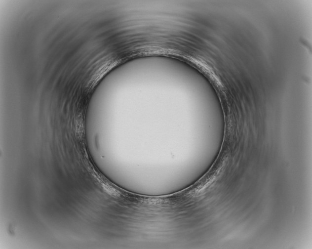 X0000095890897200802081115