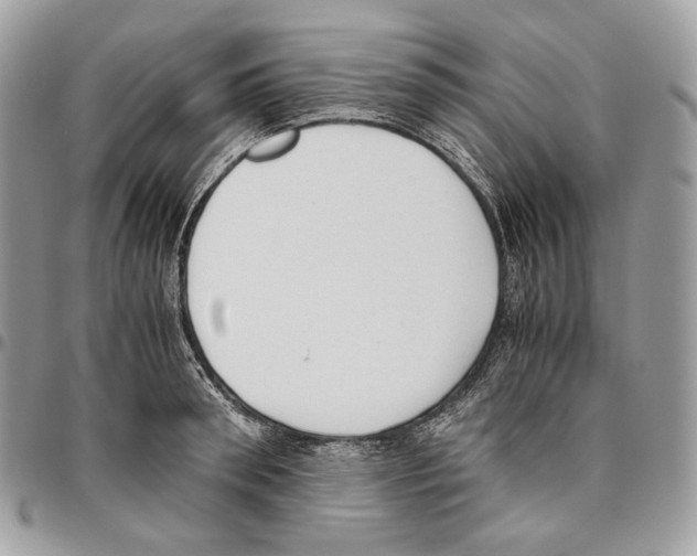 X0000095890898200802081115