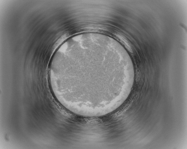 X0000095890899200802081115