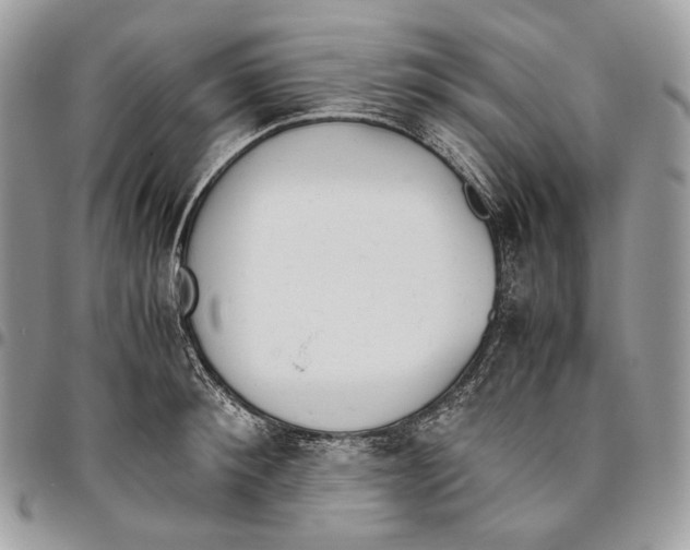 X0000095890900200802081115