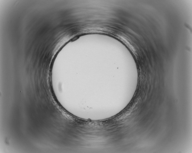 X0000095890901200802081115
