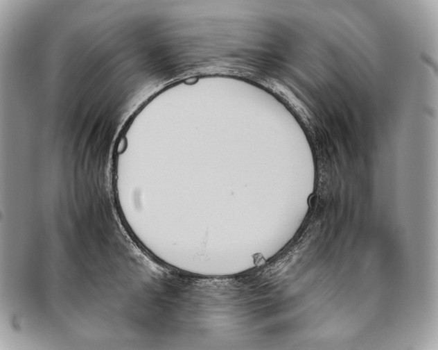 X0000095890902200802081115