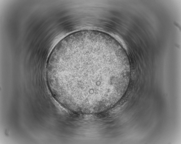 X0000095890903200802081115