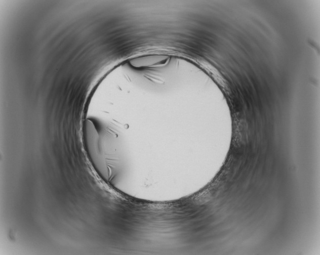 X0000095890904200802081115