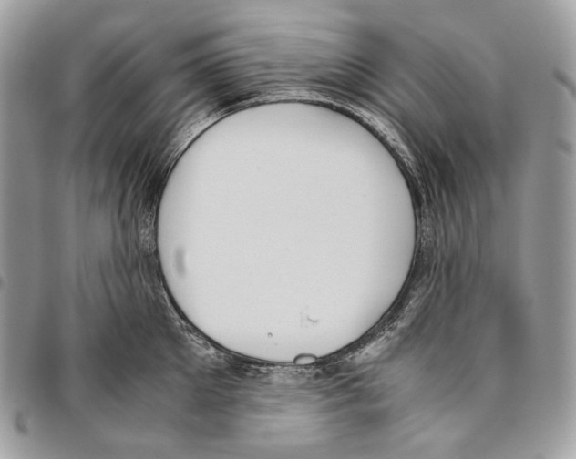 X0000095890905200802081115