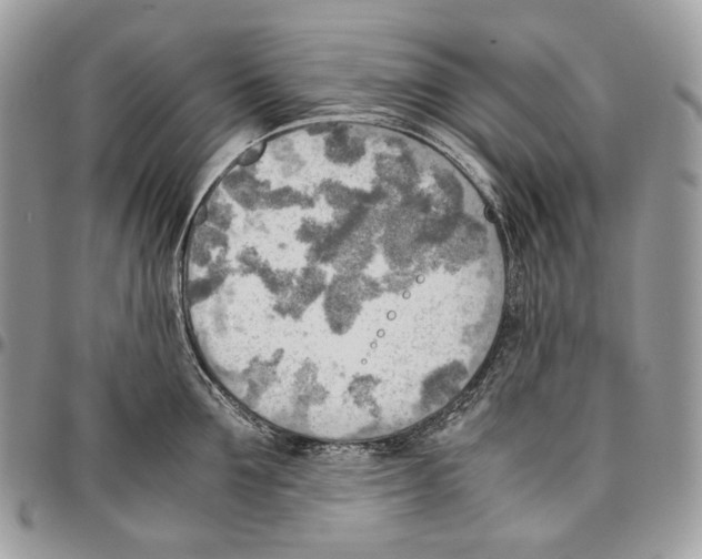 X0000095890907200802081115