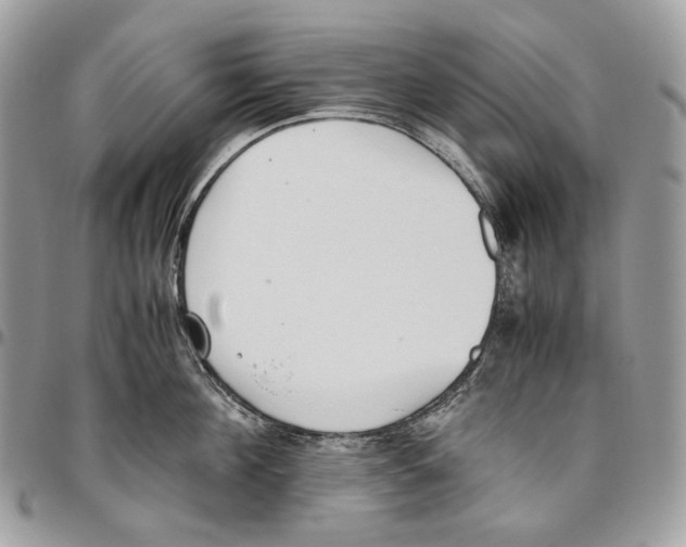 X0000095890908200802081115