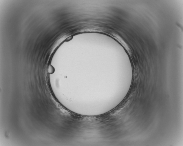 X0000095890909200802081115