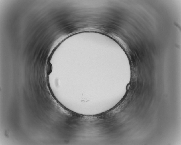 X0000095890910200802081115