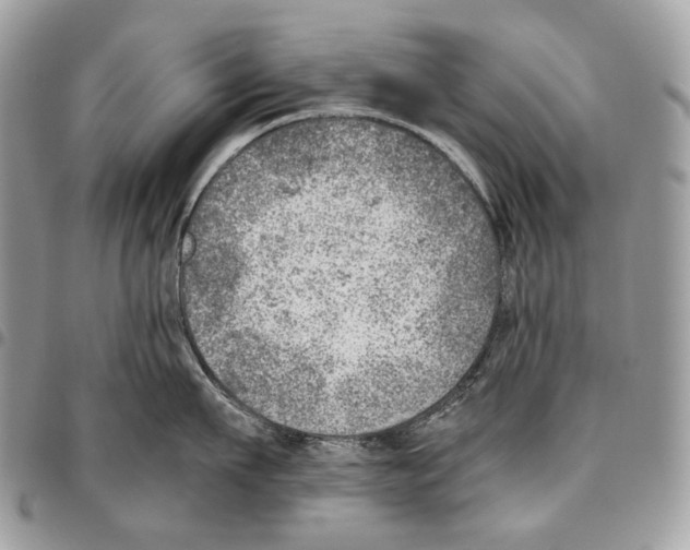 X0000095890911200802081115