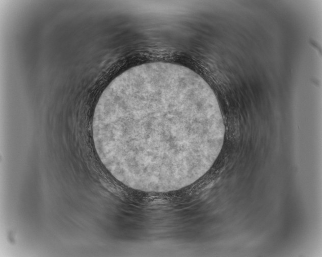 X0000095890913200802081114