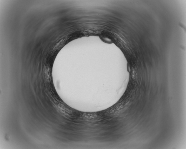 X0000095890915200802081114