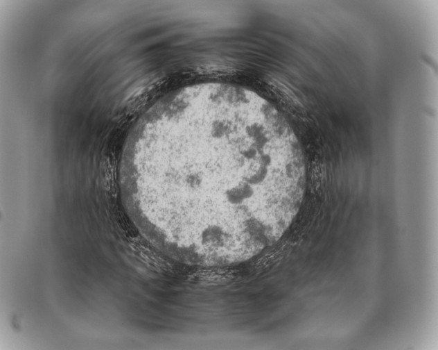 X0000095890917200802081114