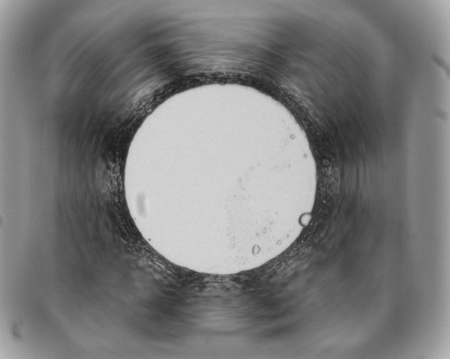 X0000095890918200802081114