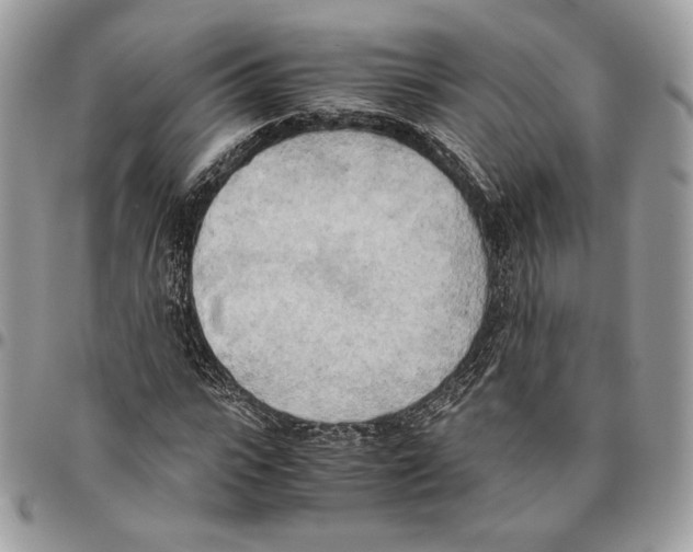 X0000095890919200802081114