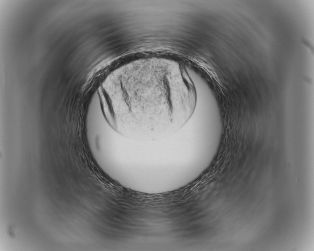X0000095890920200802081114