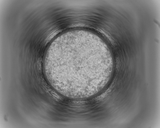 X0000095890921200802081114