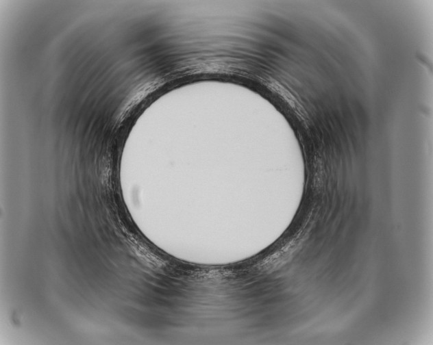 X0000095890922200802081114